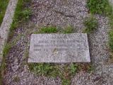 image of grave number 299983